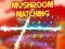 Hra Mushroom matching online