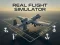 Hra Real Flight Simulator online
