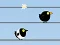 Hra Gone with the Birds online