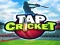 Hra Tap Cricket online