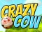Hra Crazy Cow online