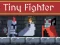 Hra Tiny Fighter Unstoppable Run online