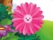 Hra Funny Flowers Jigsaw online