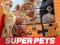 Hra DC League of Super Pets Jigsaw Puzzle online