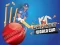 Hra Cricket World Cup Game online