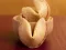 Hra Fortune Cookies online