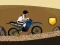 Hra Crazy Bike Ride online