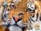Hra Jigsaw Puzzles Classic online