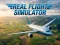 Hra Real Flight Simulator online
