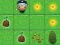 Hra Magic Seeds online