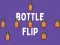 Hra Bottle Flip online