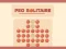 Hra Peg Solitaire online