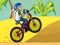 Hra BMX Boy Online online