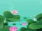 Hra Lotus Flowers online