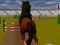 Hra Jumping Horse 3d online