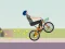 Hra Wheelie Biker online