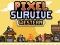 Hra Pixel Survive Western online