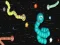 Hra Hungry Snake online