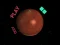Hra Space Car online