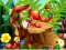 Hra Hidden Objects Insects online