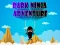 Hra Dark Ninja Adventure online