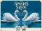 Hra Swans Slide online