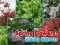 Hra Spring Flowers: Hidden Objects online