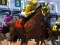 Hra Horse Racing online