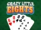 Hra Crazy Little Eights online