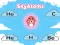 Hra SkyAtoms online