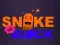 Hra Snake vs Blocks online