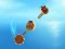 Hra Crazy Machines online