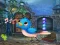 Hra Singing Bird Escape online