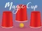 Hra Magic Cup online