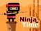 Hra Ninja Time online