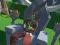 Hra Lazy Orcs: Arena online