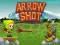 Hra Arrow Shoot online