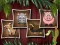 Hra Animal Shapes 3 online