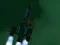 Hra Spacecraft II online