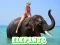 Hra Elephants Puzzle online