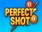 Hra Perfect Shot online