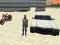 Hra City Simulator online