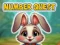 Hra Number Quest online