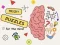 Hra Brain Puzzles Quests online