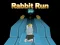 Hra Rabbit Run 3D online