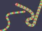 Hra Slither Classic online