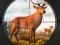 Hra Wild Animal Hunting online