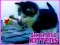 Hra Six Little Kittens online