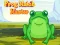 Hra Frog Match Master online