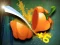 Hra Veggie Slicer online